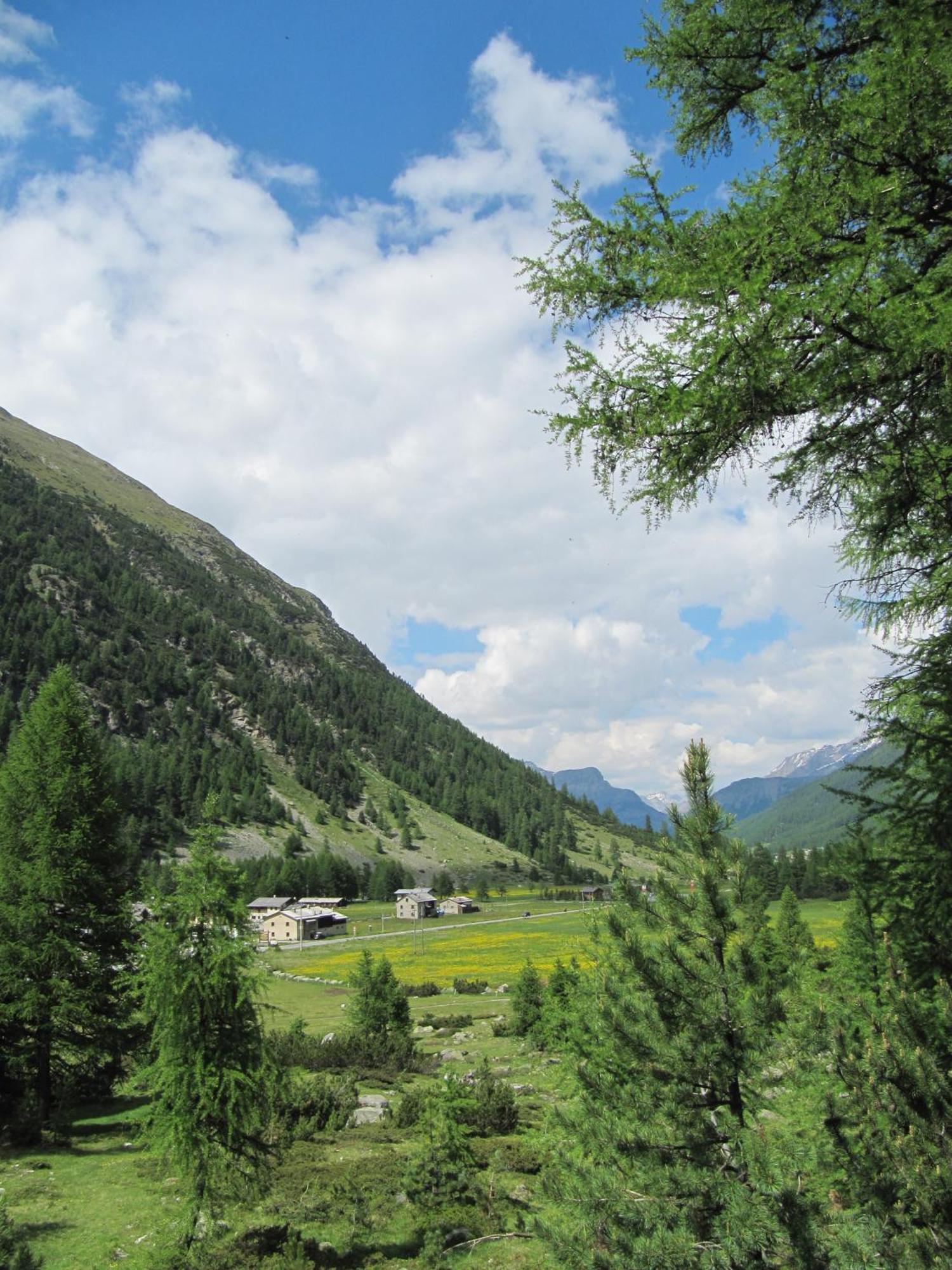 Campaciol Frühstückspension Livigno