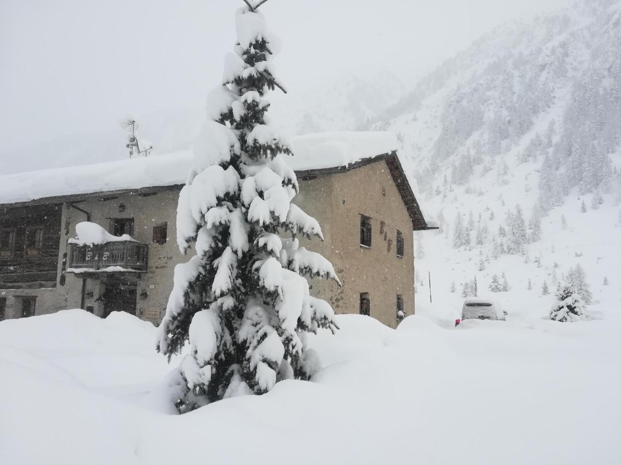 Frühstückspension Campaciol Livigno