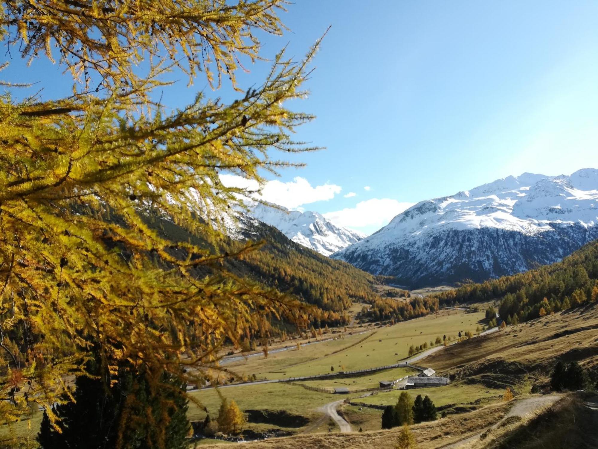 Campaciol Frühstückspension Livigno